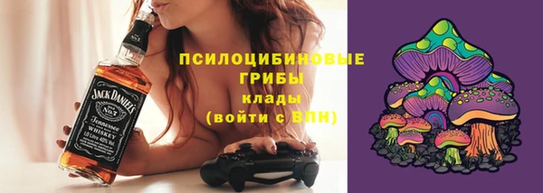ALPHA PVP Горнозаводск