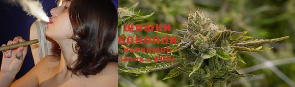 PSILOCYBIN Горняк