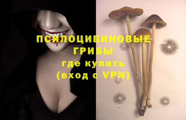 PSILOCYBIN Горняк
