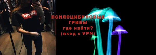 ALPHA PVP Горнозаводск
