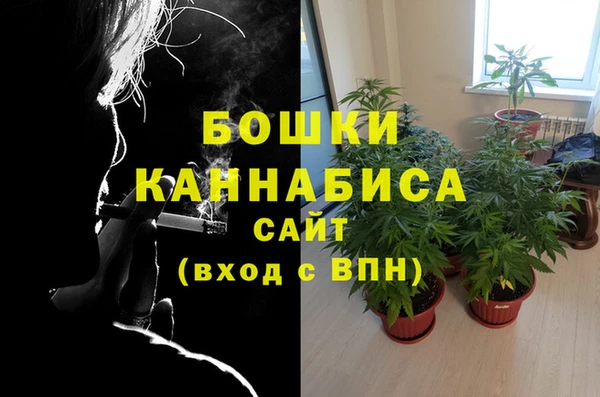 PSILOCYBIN Горняк