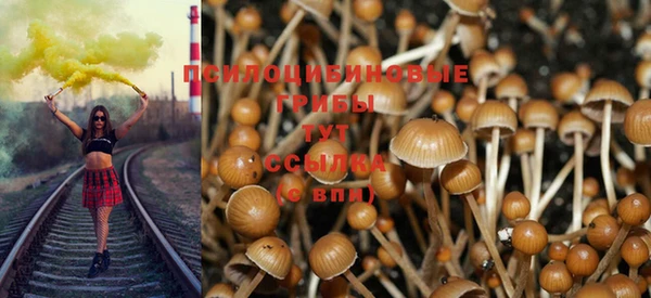 PSILOCYBIN Горняк