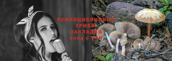 индика Иннополис