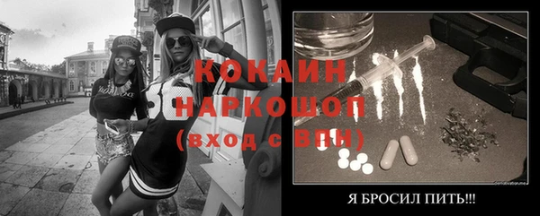 PSILOCYBIN Горняк