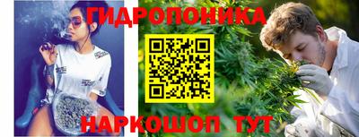 гашик Рязань