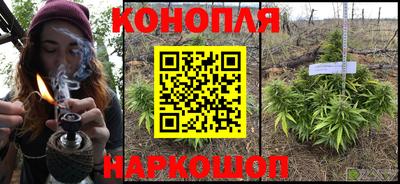 гашик Рязань