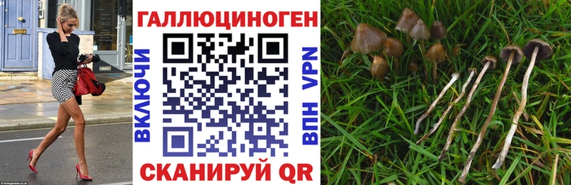 ОМГ ОМГ вход  где купить наркотик  Усинск  Псилоцибиновые грибы Magic Shrooms 